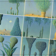 Botanical Surrealism - Nomad Visuals 2.jpg