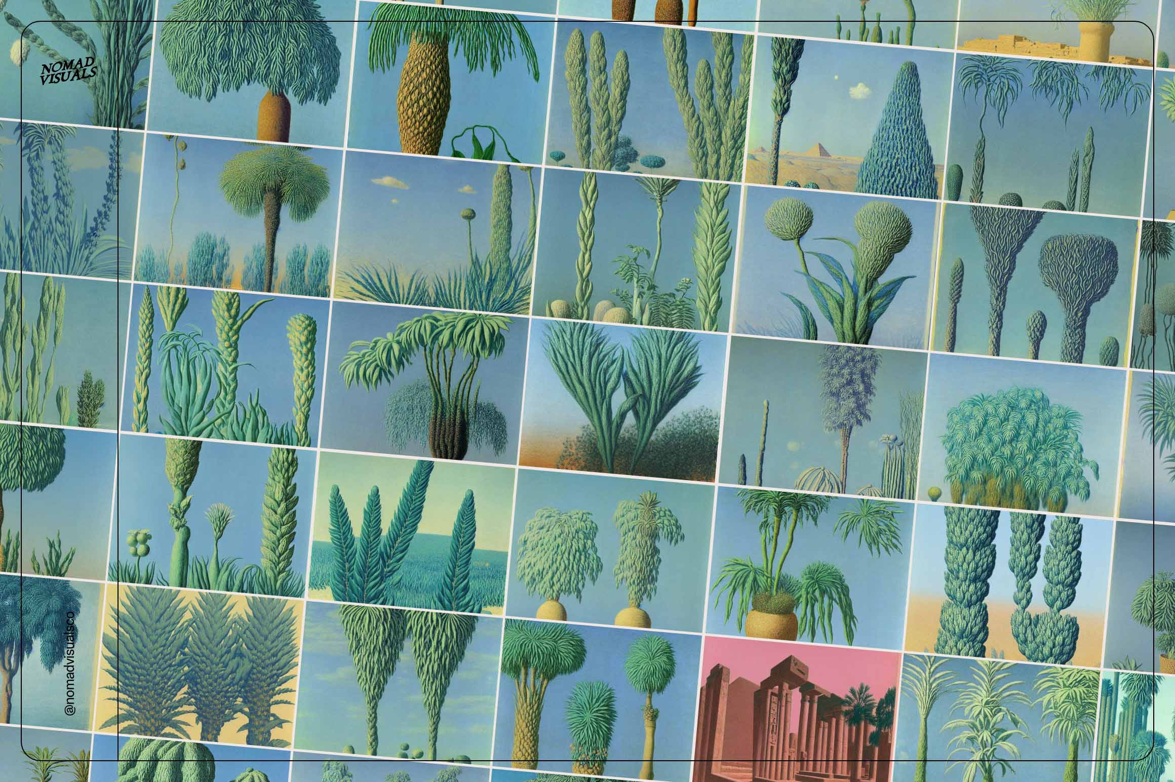 Botanical Surrealism - Nomad Visuals 6.jpg