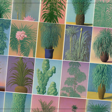 Botanical Surrealism - Nomad Visuals 7.jpg
