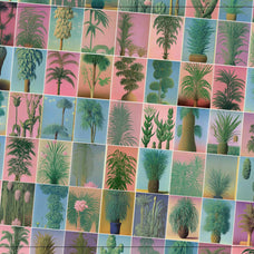 Botanical Surrealism - Nomad Visuals 8.jpg