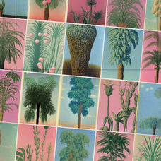 Botanical Surrealism - Nomad Visuals 9.jpg