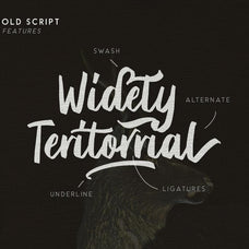 Briberra - Rough Bold Script - Sarid Ezra 3.jpg