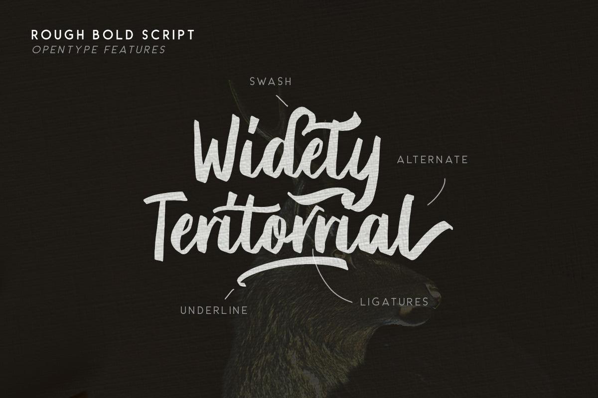 Briberra - Rough Bold Script - Sarid Ezra 3.jpg