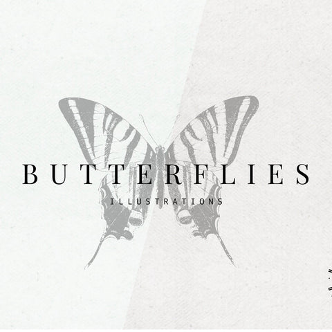 Butterflies Illustrations