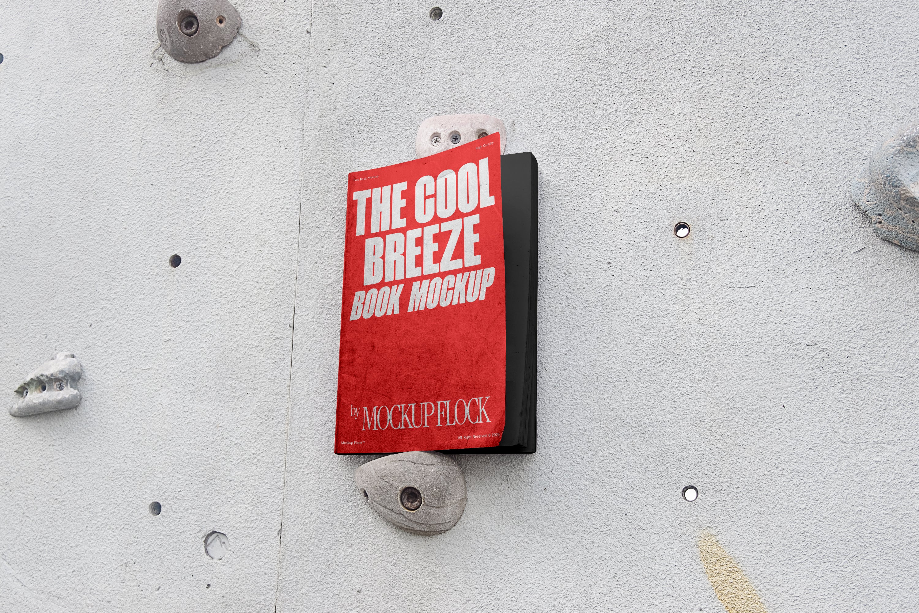 C&B Book 04 Mockup - Mockup Flock 2.jpg