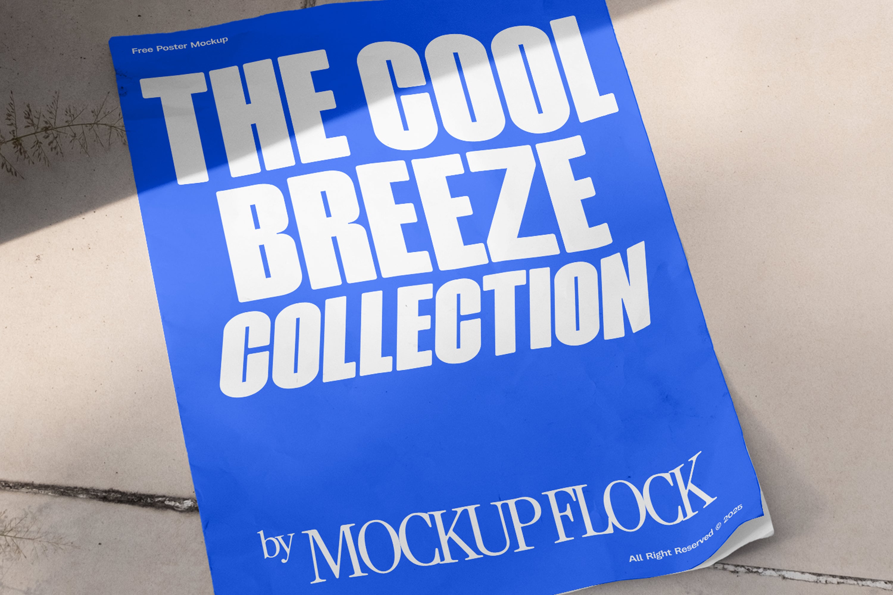 C&B Poster 01 Mockup - Mockup Flock 3.jpg