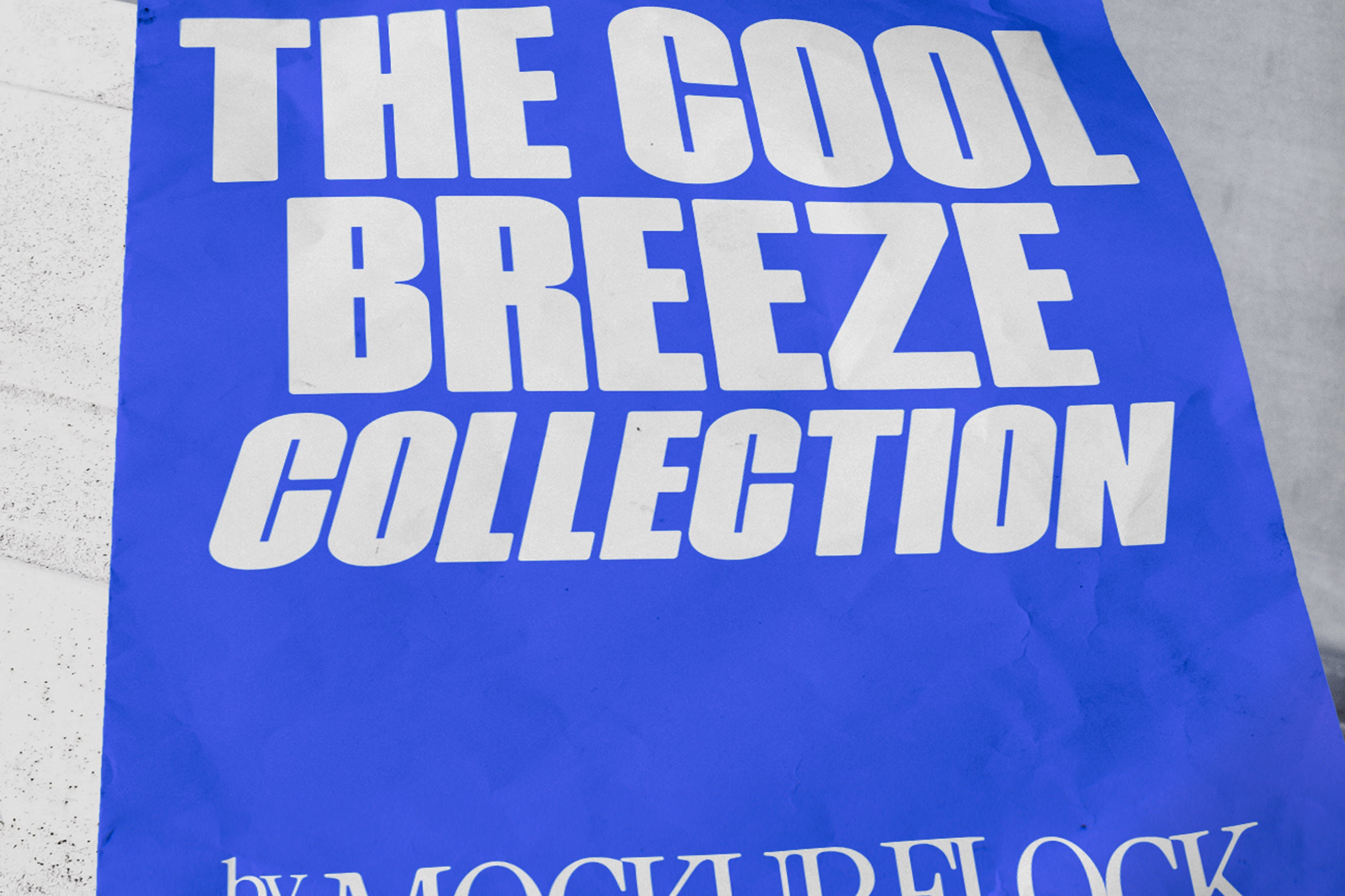 C&B Poster 02 Mockup - Mockup Flock 3.jpg