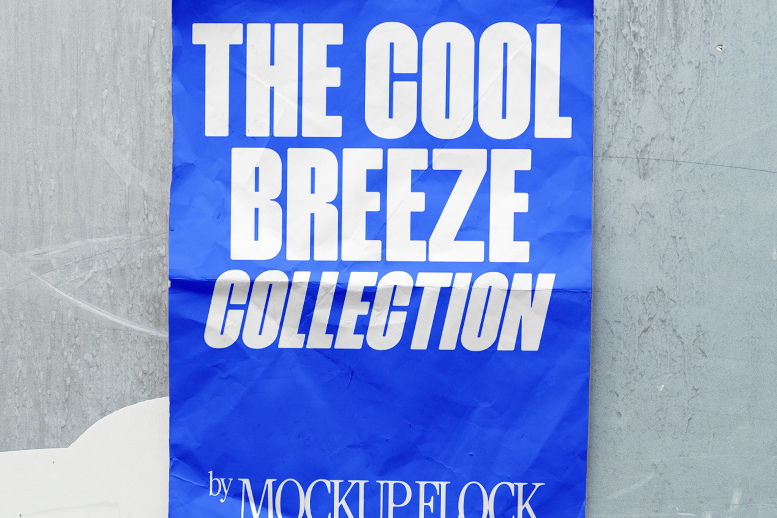 C&B Poster 03 Mockup - Mockup Flock 3.jpg
