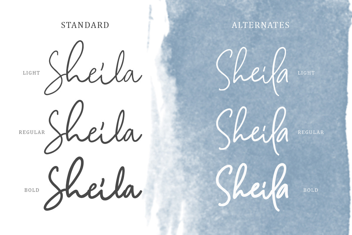 Camilla - Signature Script (6 Fonts) - Sarid Ezra 2.jpg