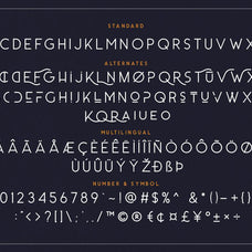 Carrol Sans (16 Fonts) - 50% OFF! - Sarid Ezra 1.jpg