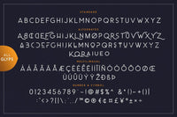 Carrol Sans (16 Fonts) - 50% OFF!