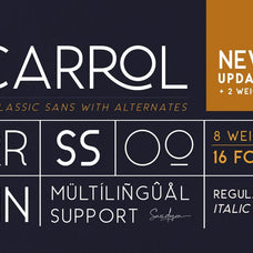 Carrol Sans (16 Fonts) - 50% OFF! - Sarid Ezra 2.jpg