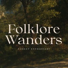 Collingar - Aesthetic Serif - Sarid Ezra 6.jpg