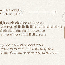 Collingar - Aesthetic Serif - Sarid Ezra 7.jpg