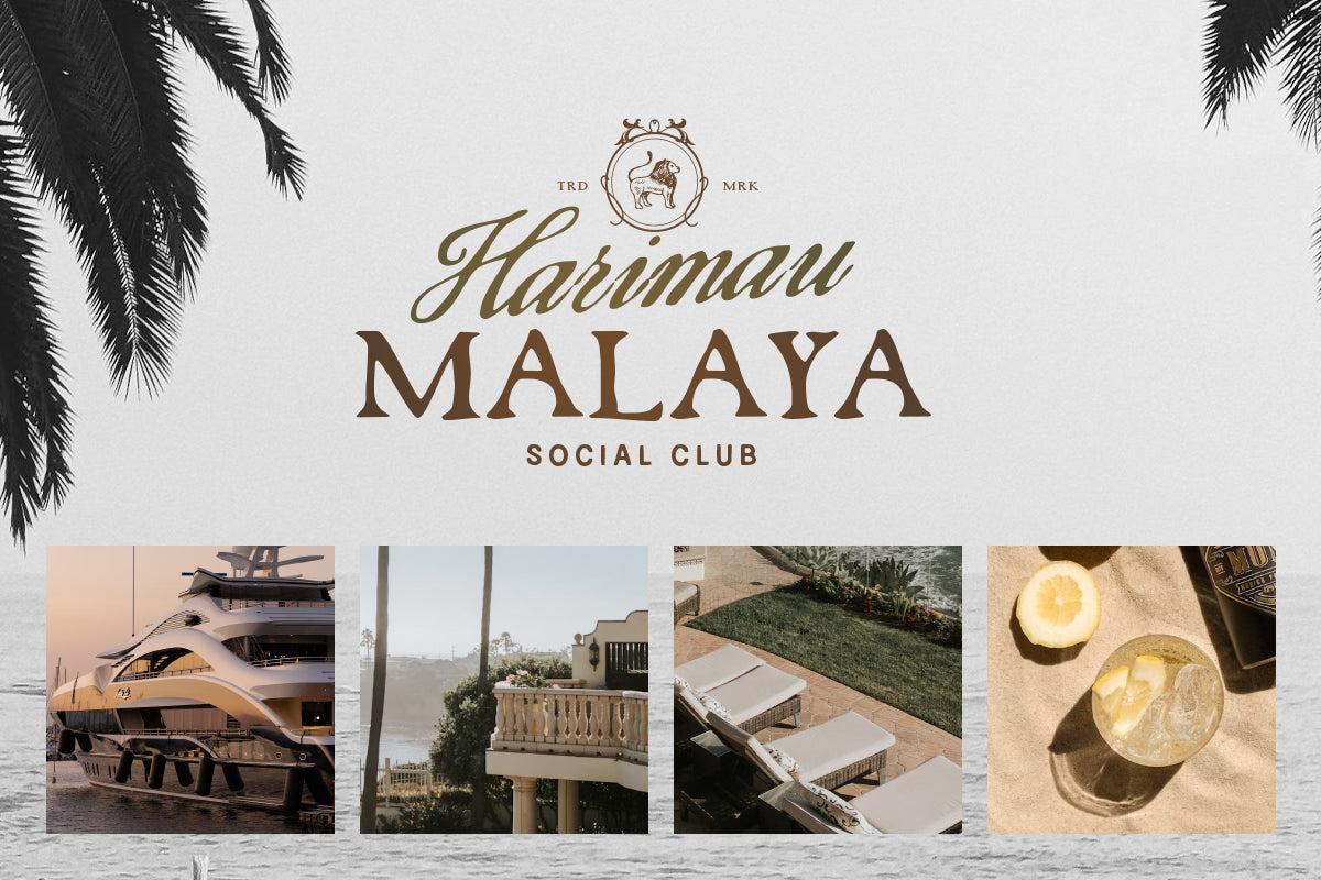 Country Bridge - Rough Font Trio - Sarid Ezra 7.jpg