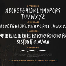 Crooked Hooks - Dry Brush Font - Sarid Ezra 5.jpg