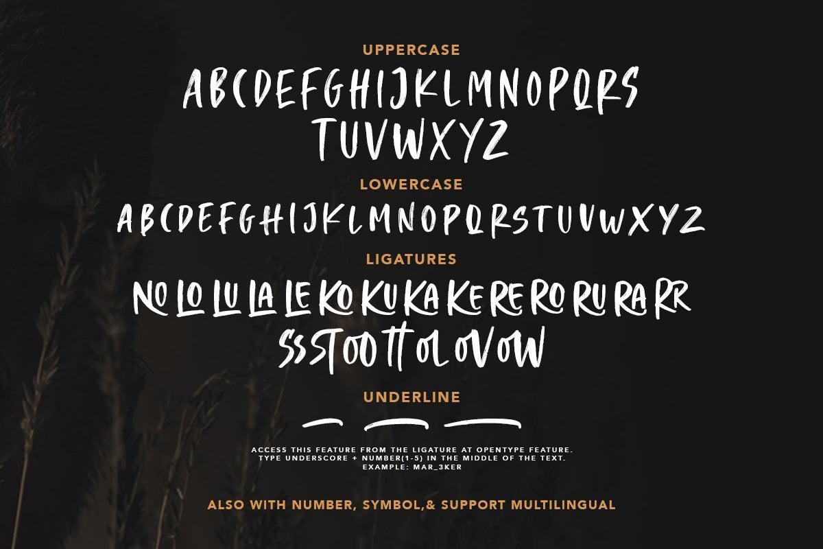 Crooked Hooks - Dry Brush Font - Sarid Ezra 5.jpg