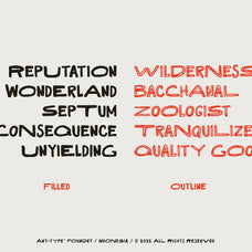 Dakota Rough Sans - Any-Type® Foundry 4.jpg