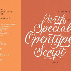 Daytonia - Hand Lettering Script - Sarid Ezra 2.jpg