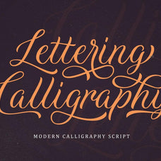 Daytonia - Hand Lettering Script - Sarid Ezra 4.jpg