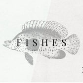 Fish Illustrations