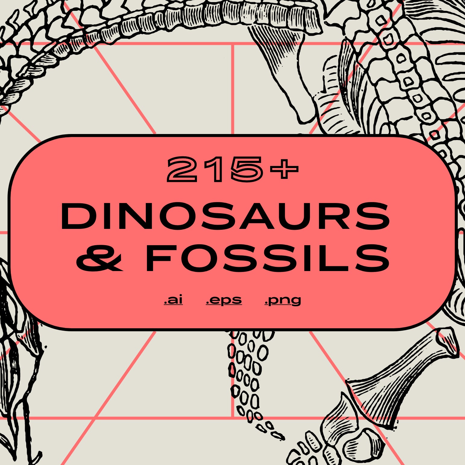 Dinosaurs and Fossils - Nomad Visuals 1.jpg