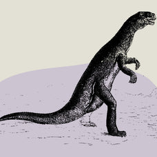 Dinosaurs and Fossils - Nomad Visuals 2.jpg