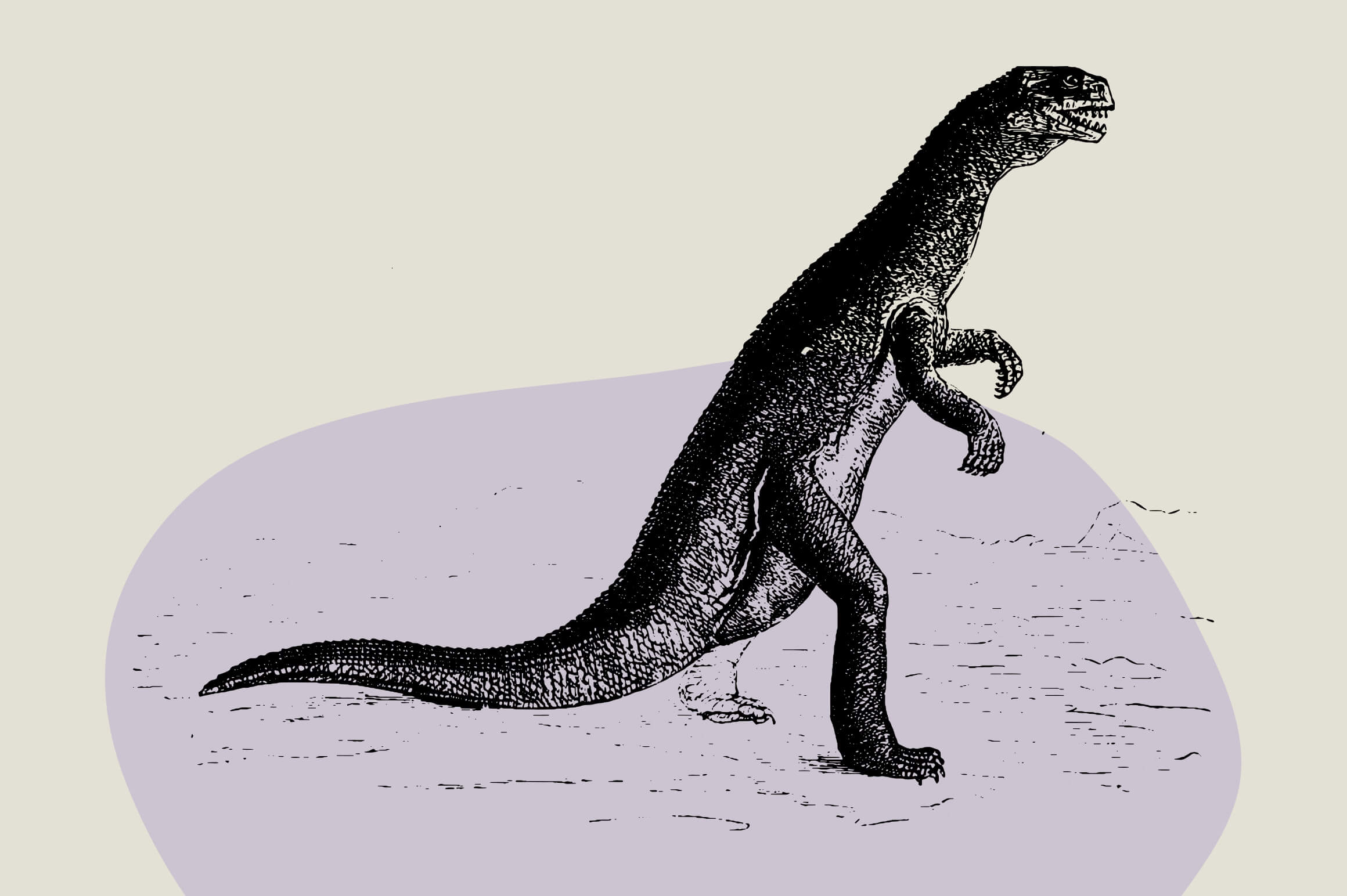 Dinosaurs and Fossils - Nomad Visuals 2.jpg