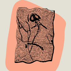Dinosaurs and Fossils - Nomad Visuals 3.jpg