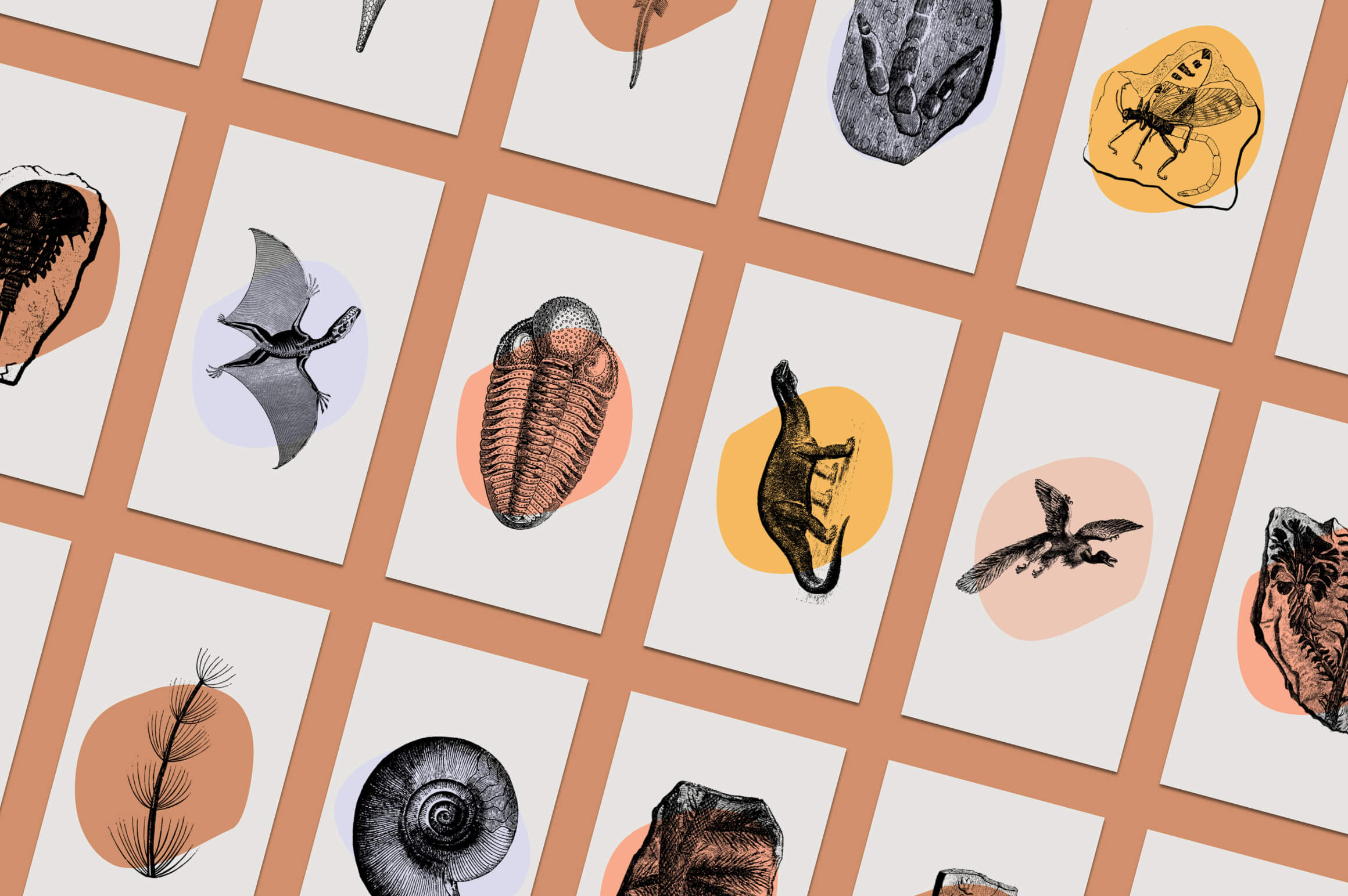 Dinosaurs and Fossils - Nomad Visuals 7.jpg