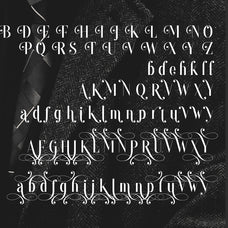 Dropgray - A Stylish Sans - Sarid Ezra 8.jpg