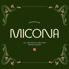 ED Micona - Display Serif Font - Emyself Design 1.jpg