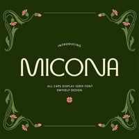 ED Micona - Display Serif Font