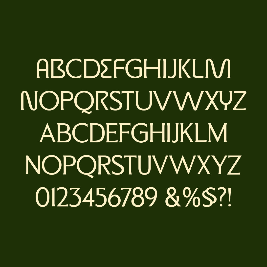 ED Micona - Display Serif Font - Emyself Design 2.jpg
