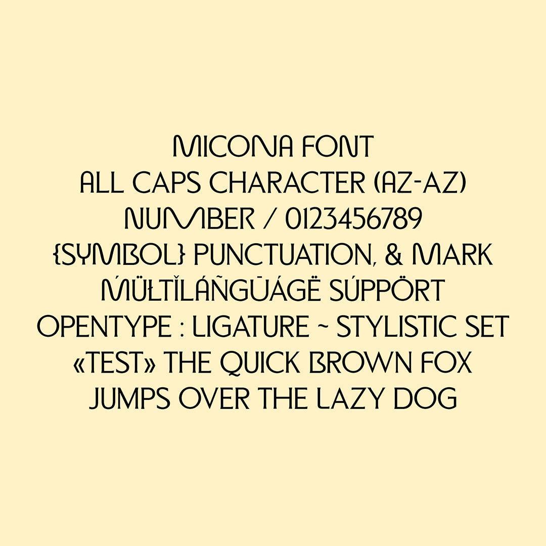 ED Micona - Display Serif Font - Emyself Design 4.jpg