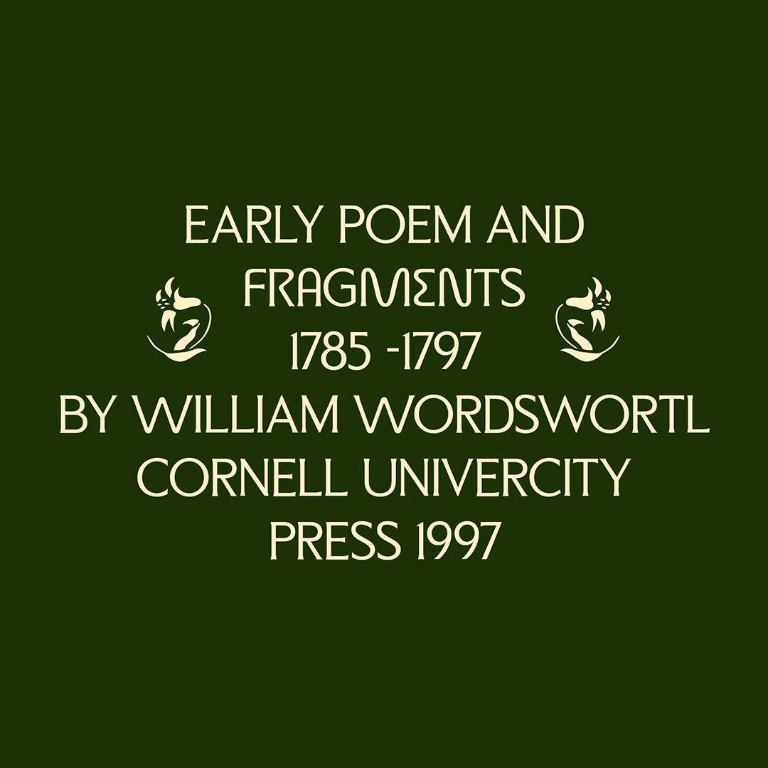 ED Micona - Display Serif Font - Emyself Design 6.jpg