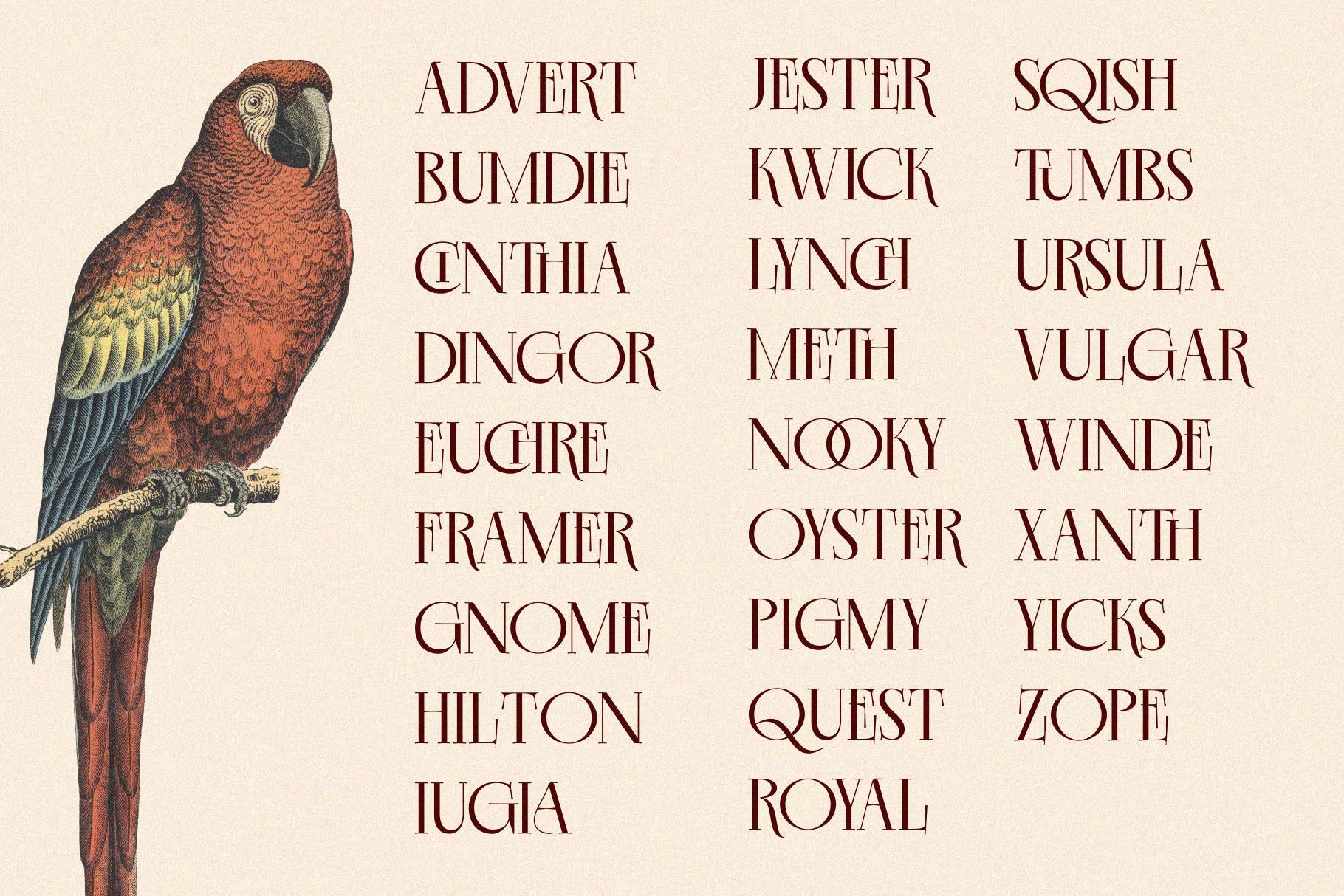 EKGIERO - Enxyclo Studio 1.png