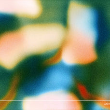 Echo Motion Animated Backgrounds - angelainthefields 3.jpg