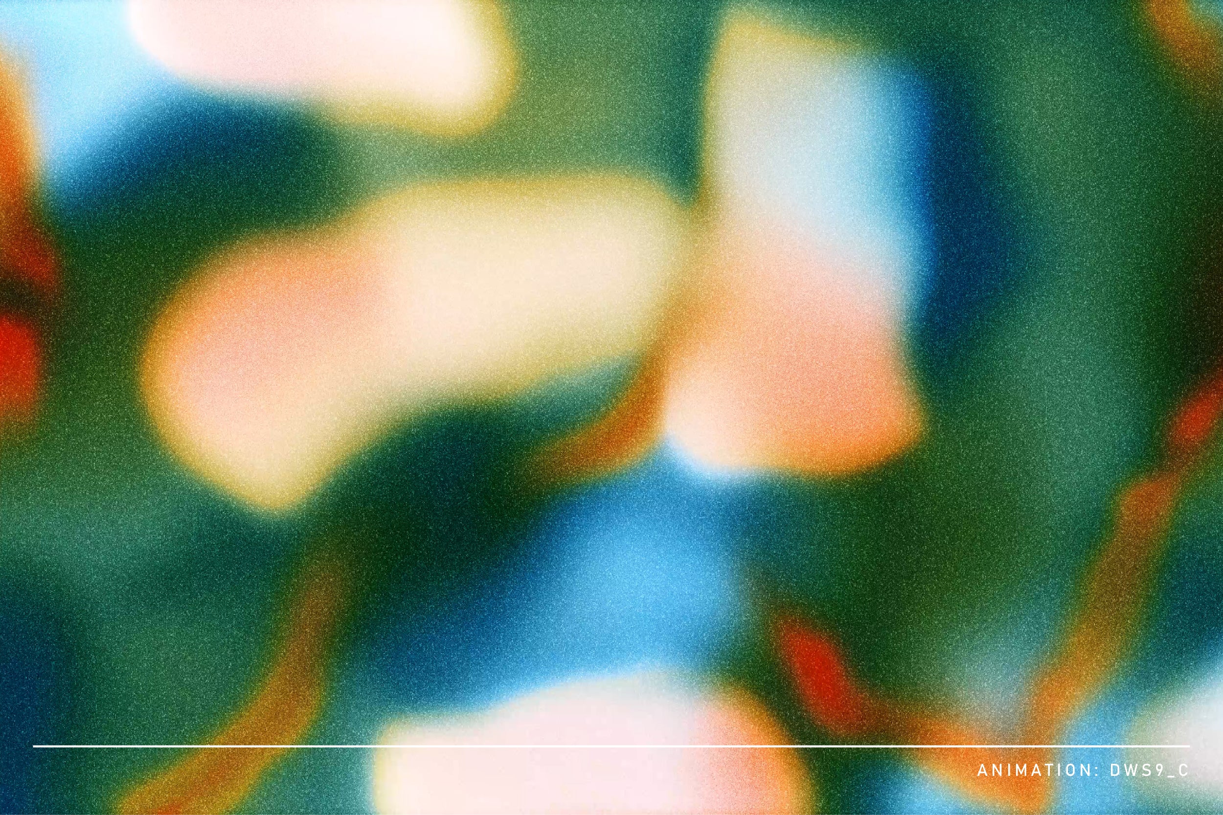 Echo Motion Animated Backgrounds - angelainthefields 3.jpg