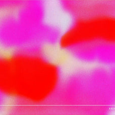 Echo Motion Animated Backgrounds - angelainthefields 4.jpg