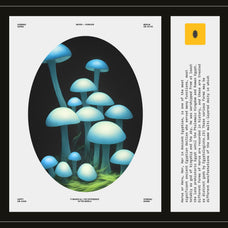 Enchanting Mushrooms Vol 01 - Nomad Visuals 15.jpg
