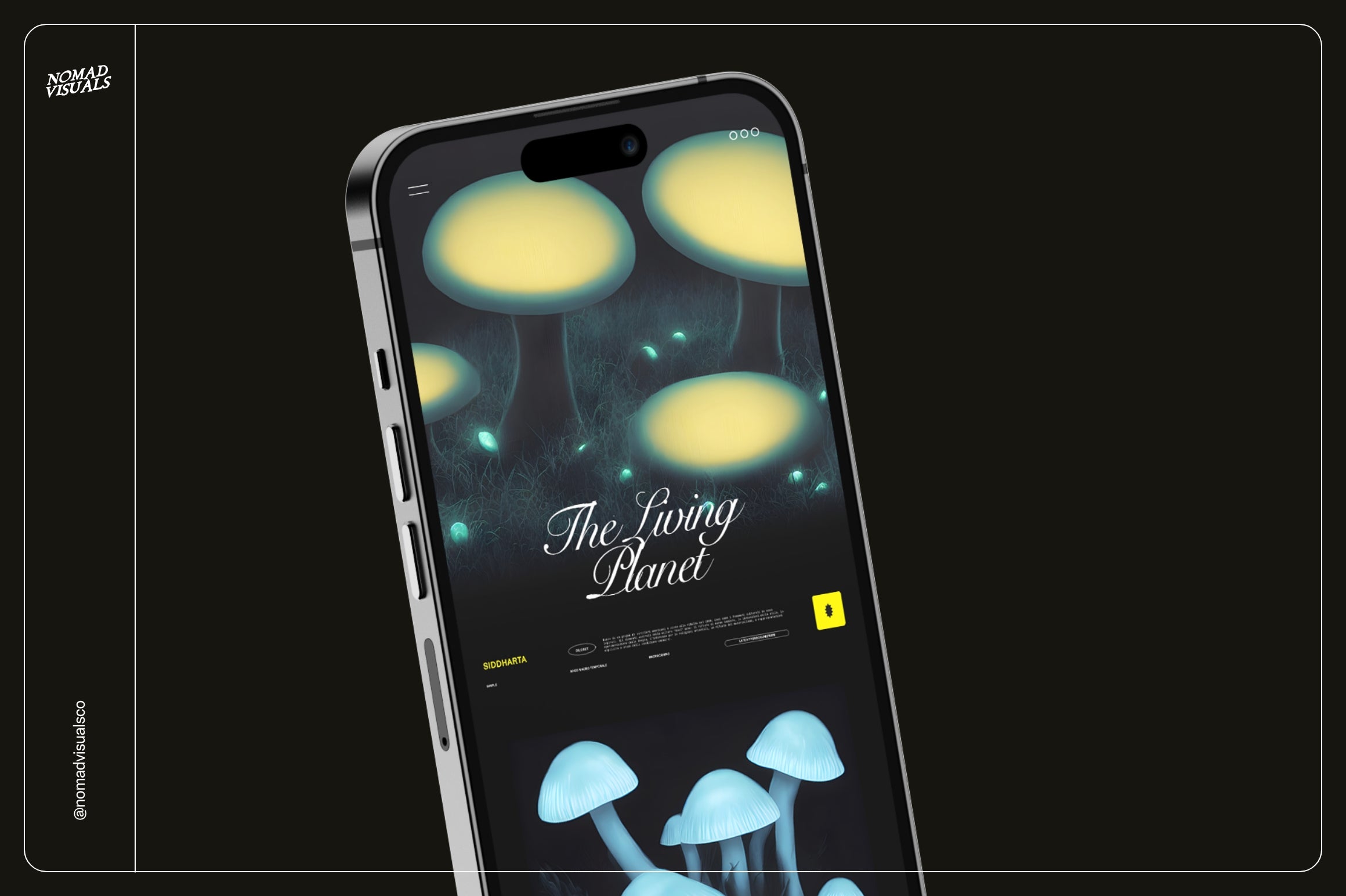 Enchanting Mushrooms Vol 01 - Nomad Visuals 19.jpg