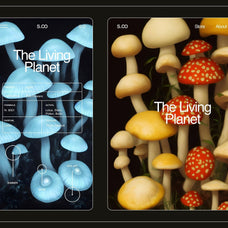 Enchanting Mushrooms Vol 01 - Nomad Visuals 1.jpg
