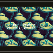Enchanting Mushrooms Vol 01 - Nomad Visuals 3.jpg