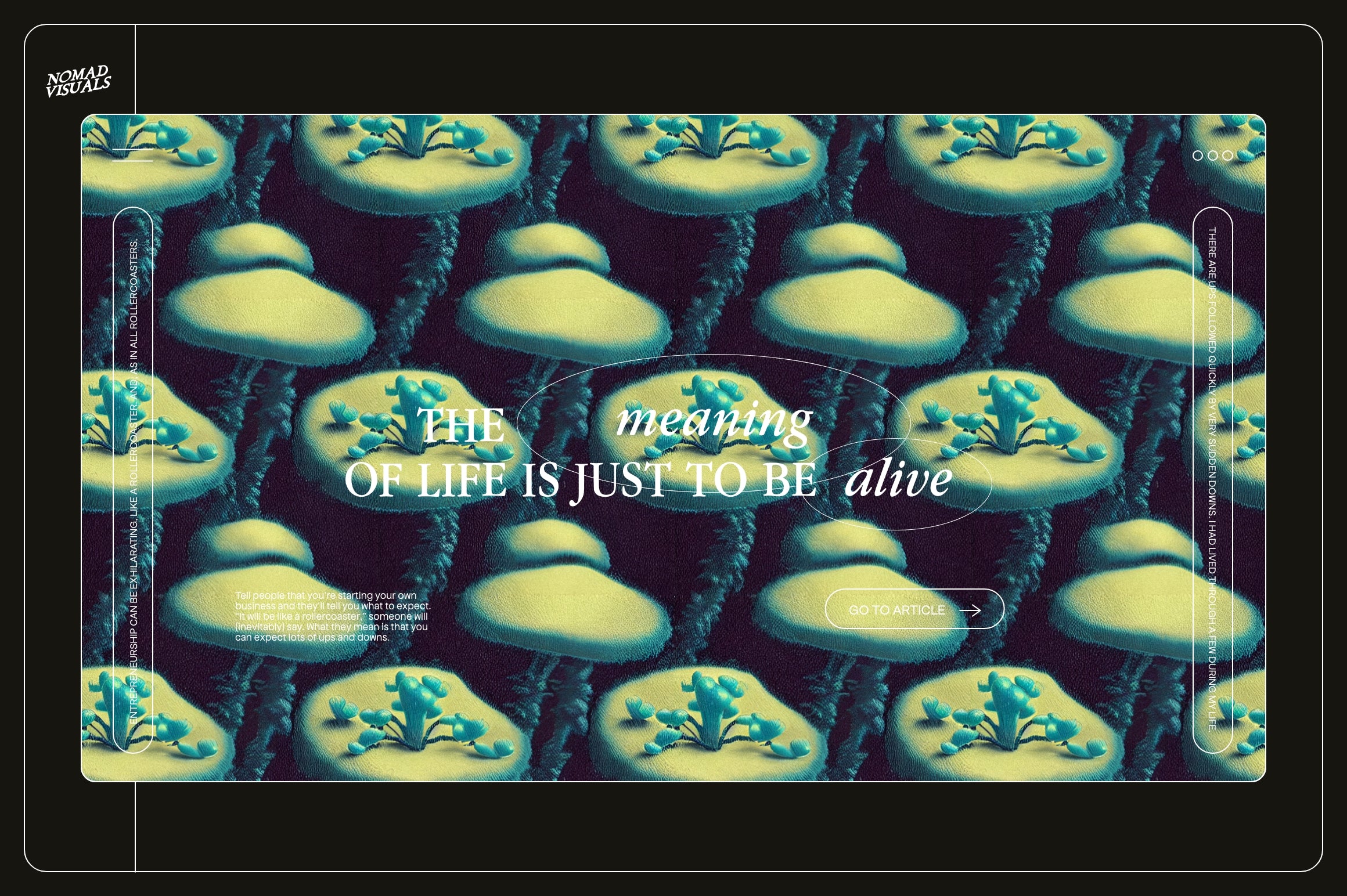 Enchanting Mushrooms Vol 01 - Nomad Visuals 3.jpg