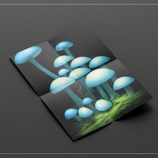 Enchanting Mushrooms Vol 01 - Nomad Visuals 6.jpg