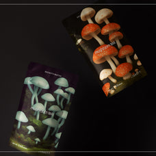 Enchanting Mushrooms Vol 01 - Nomad Visuals 9.jpg