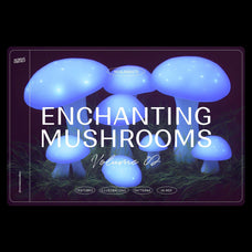 Enchanting Mushrooms Vol 02 - Nomad Visuals 1.jpg