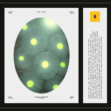 Enchanting Mushrooms Vol 02 - Nomad Visuals 13.jpg