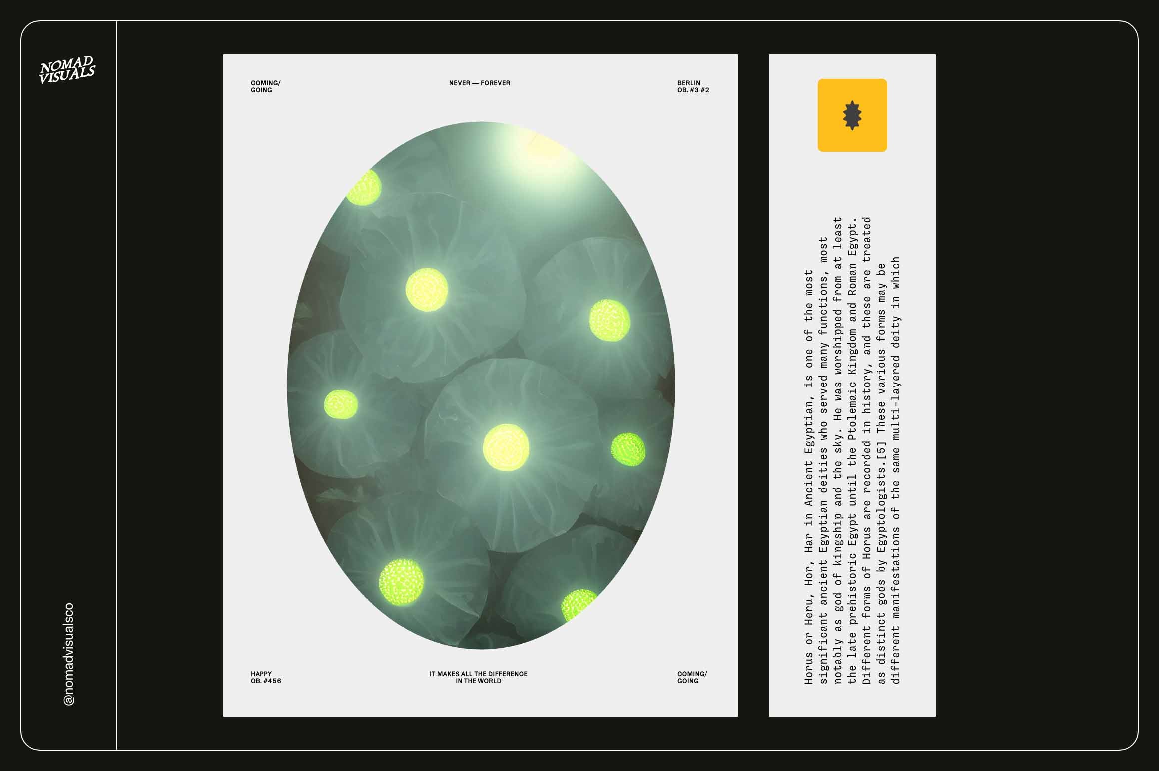 Enchanting Mushrooms Vol 02 - Nomad Visuals 13.jpg